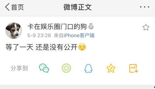 爆料每日吃瓜视频,揭秘娱乐圈幕后故事