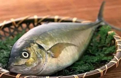 吃八瓜鱼脚视频大全下载,趣味十足，一网打尽！