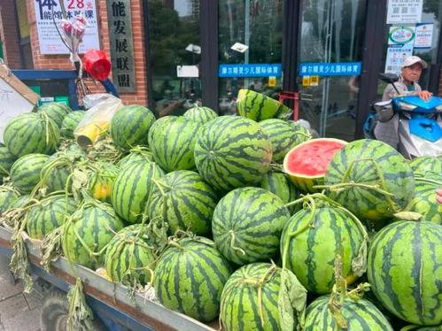 牛奶小吊瓜会吃胖么吗视频,揭秘其热量与增胖关系