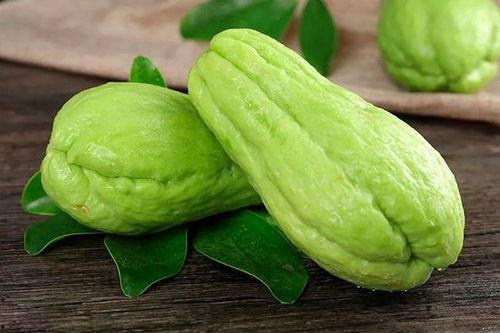 多余的葫芦瓜可以吃吗视频,揭秘多余葫芦瓜的食用奥秘