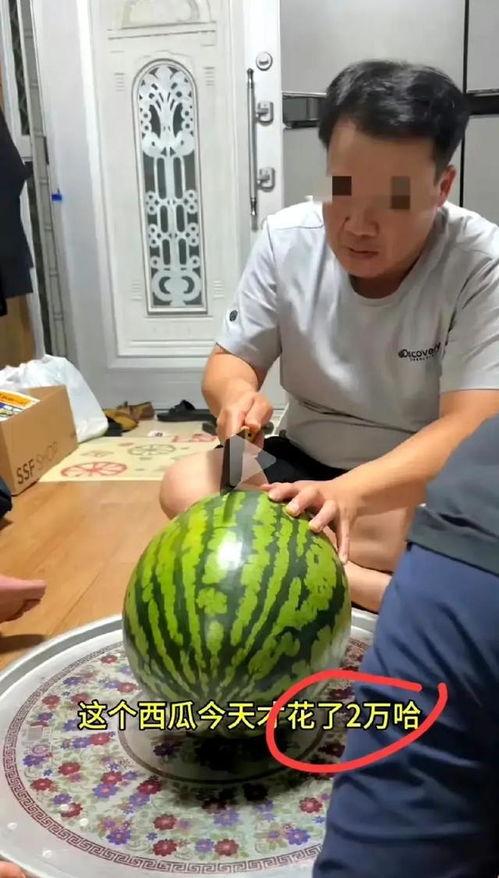 吃瓜视频都在哪看的,吃瓜视频热门观看平台大盘点