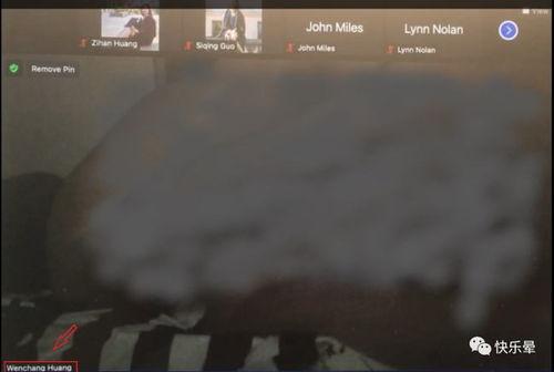 网课吃瓜的视频,揭秘网课中的那些“瓜”